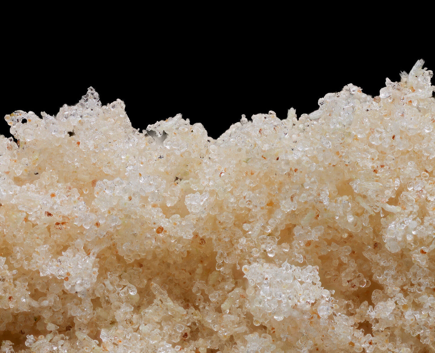 Tree Huggers - Wily Wonka (2g)